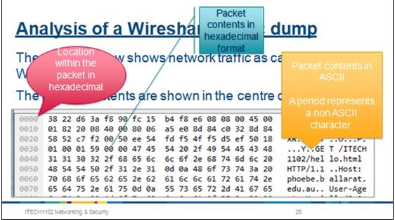 Networking and Security3.jpg